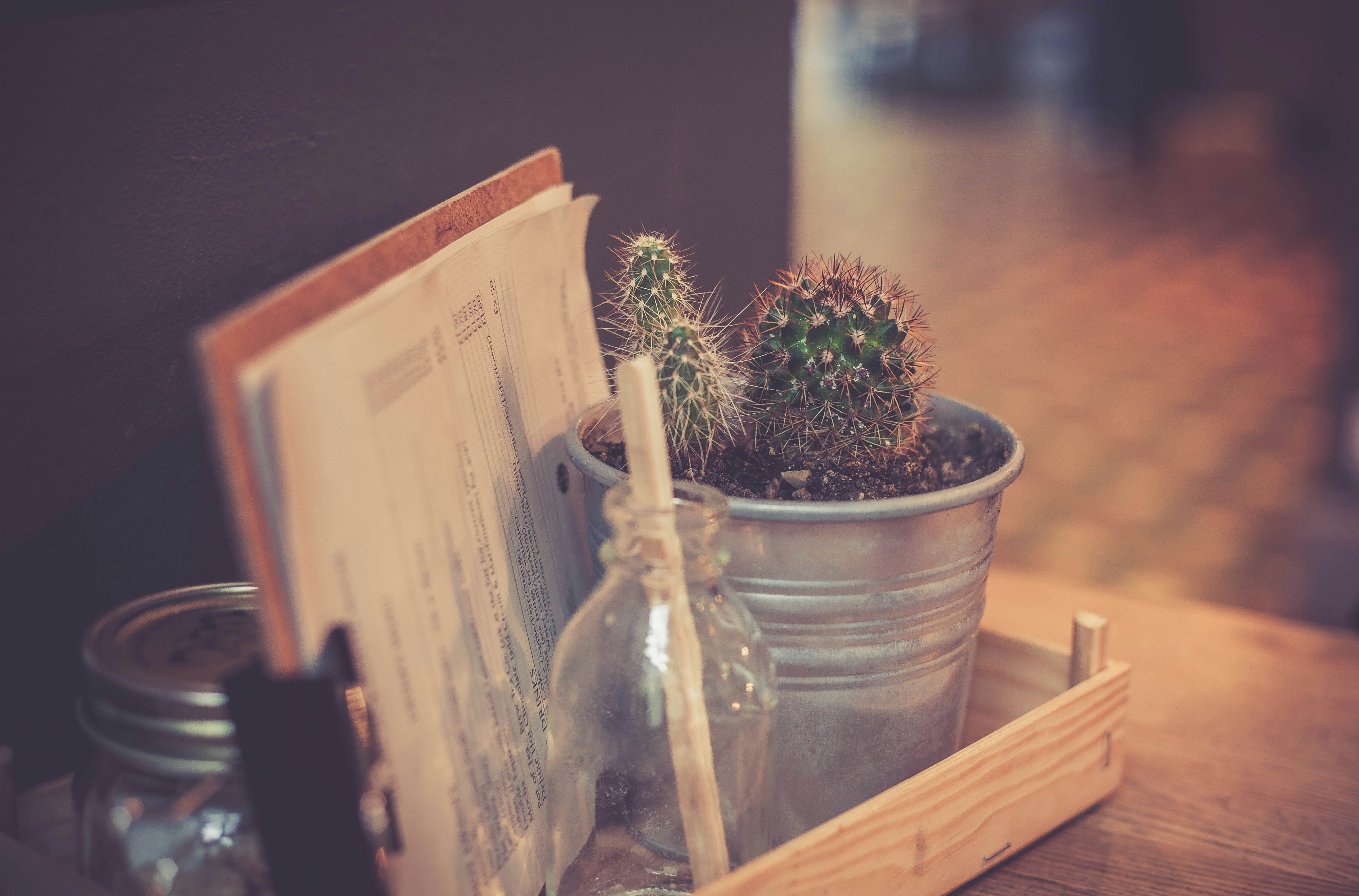 cactus plant on gray metal pot beside white printing paper on brown desk
